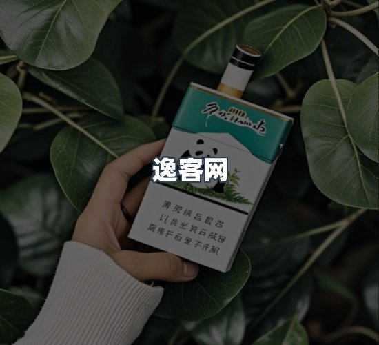 关于逸客网